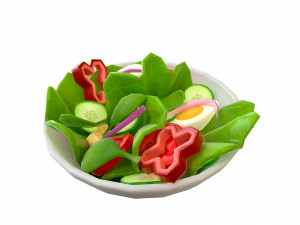 salad 3D Model