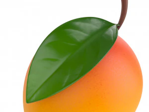 mangue Modèle 3D