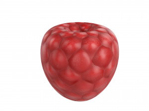 raspberry 3D मॉडल