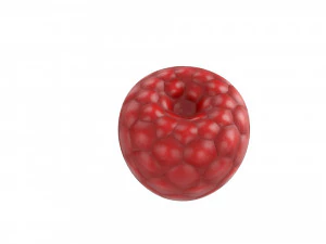 raspberry 3D Model