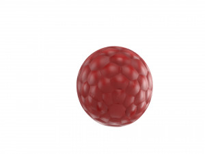 raspberry 3D Model