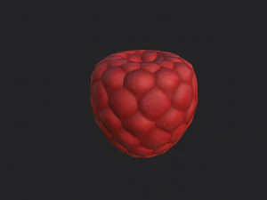 raspberry 3D Model