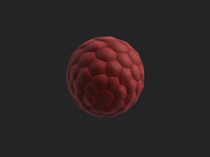 raspberry 3D Model