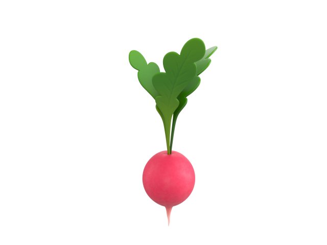 radish Modello 3D .c4d .max .obj .3ds .fbx .stl .blend 
