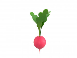 radish 3D Model