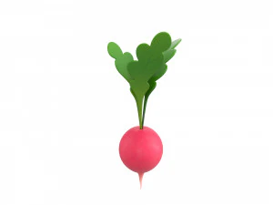 radish 3D Model