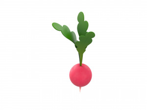 radish Modello 3D