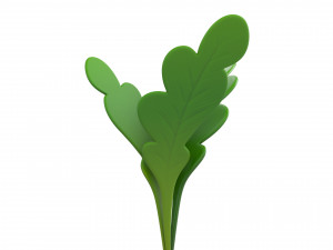 radish Modello 3D
