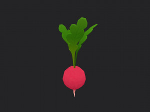 radish Modello 3D