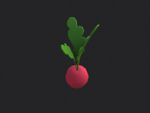 radish Modello 3D