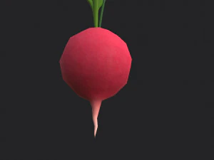 radish 3D Model