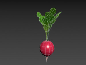 radish Modello 3D
