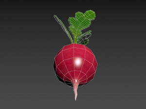radish Modello 3D