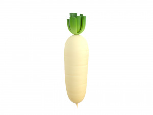 white radish 3Dモデル
