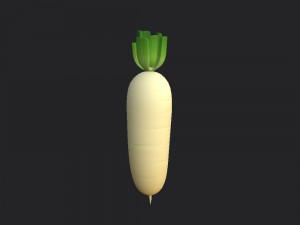 white radish Modello 3D