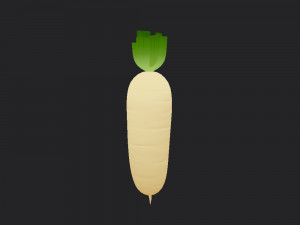 white radish Modello 3D