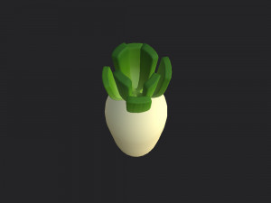 white radish Modello 3D