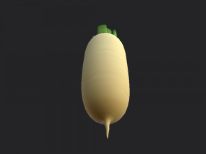 white radish Modello 3D