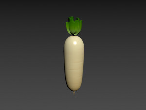 white radish Modello 3D
