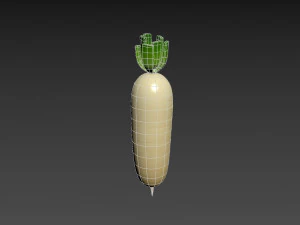 white radish 3D Model