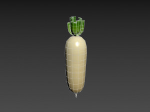 white radish Modello 3D