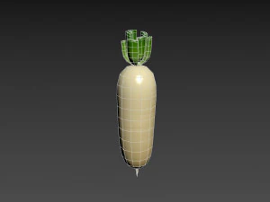 white radish 3D Model