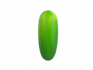 cucumber 3D Model