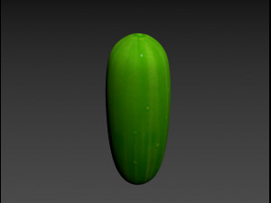 cucumber 3D मॉडल