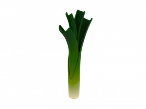 cartoon leek Modello 3D