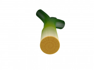 cartoon leek Modello 3D