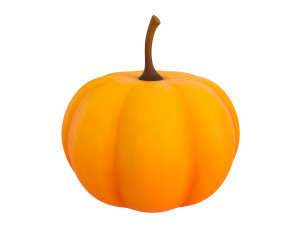 pumpkin 3Dモデル