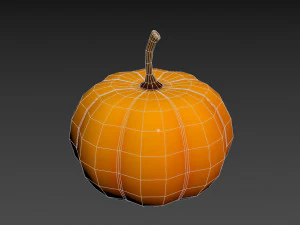 pumpkin 3D Model