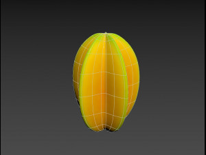 star fruit 3D Model