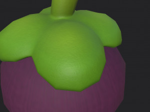 mangosteen 3Dモデル