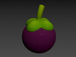 mangosteen 3Dモデル