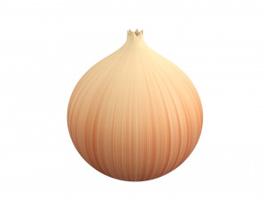onion 3D मॉडल