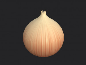 onion 3D Model