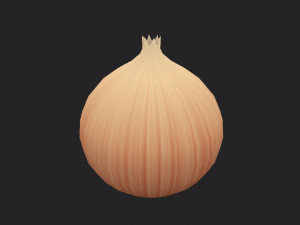 onion 3D Model