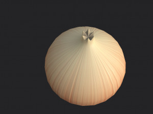 onion 3D Model