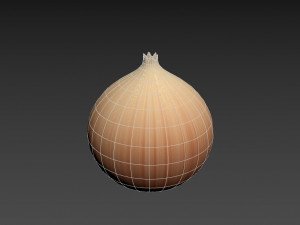 onion 3D Model