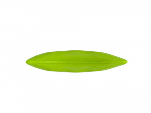 green peas Model 3D