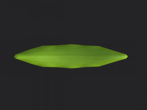 green peas Model 3D