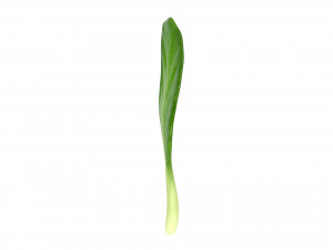 chinese kale 3D Model