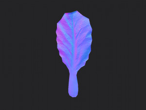 chinese kale 3D Model