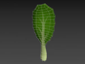 chinese kale 3D Model