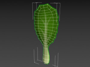 chinese kale 3D Model