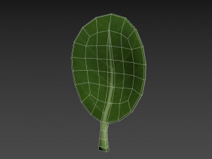 spinach Modèle 3D