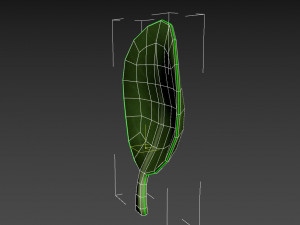 spinach Modèle 3D