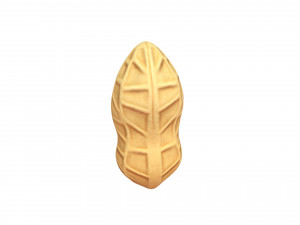 peanut Modèle 3D