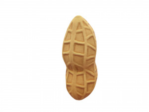 peanut Modèle 3D